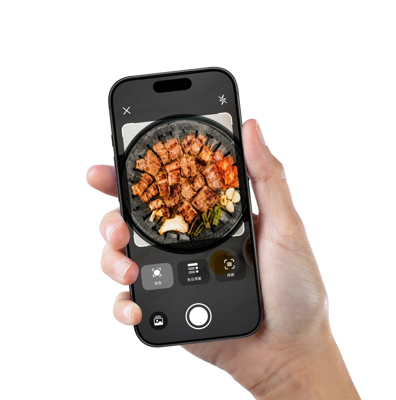 SeeFit app on phone showing AI nutrition analysis